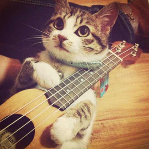 先锋影音5566资源
