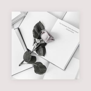 先锋影音5566资源
