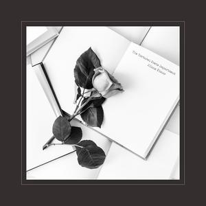 先锋影音5566资源
